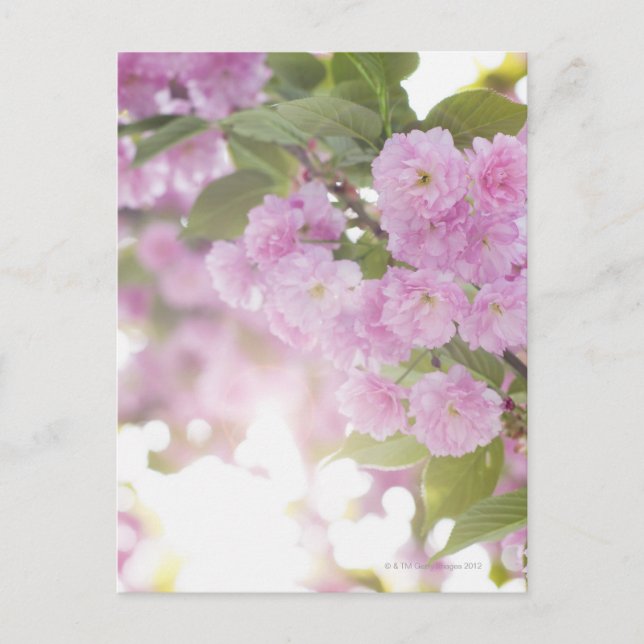 USA, New York Staat, New York City, Nahen von Postkarte (Vorderseite)