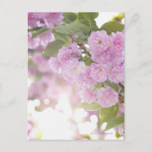 USA, New York Staat, New York City, Nahen von Postkarte