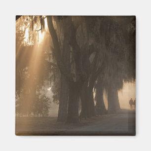 USA; Nordamerika; Georgia; Savannah. Jungen Magnet