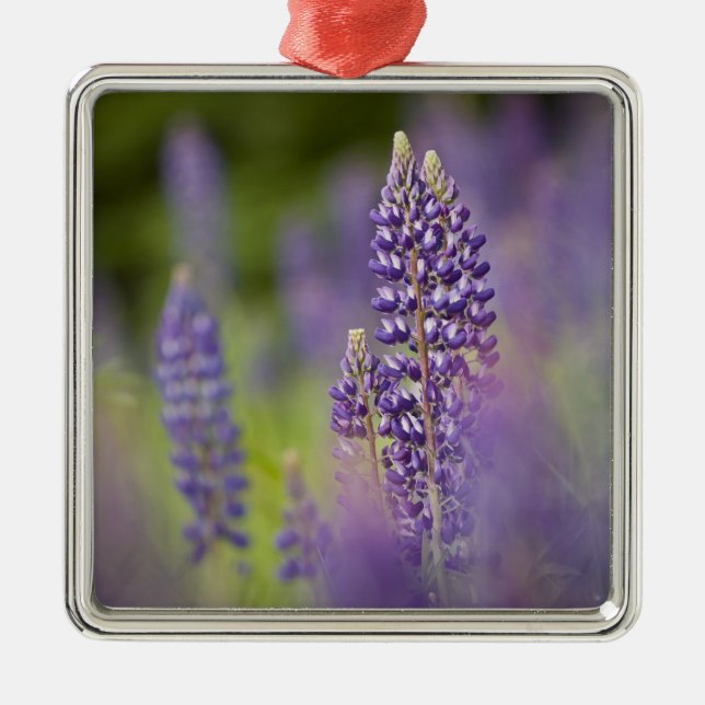 USA, Nordost-Minnesota, in der Nähe von Silver Bay Silbernes Ornament (Vorne)