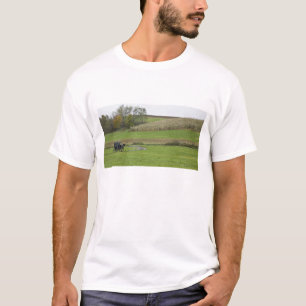 USA, Nordost-Ohio. Amish-Buggy auf Bauernhof T-Shirt