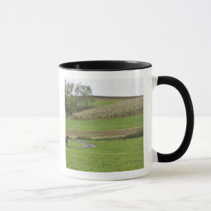 USA, Nordost-Ohio. Amish-Buggy auf Bauernhof Tasse