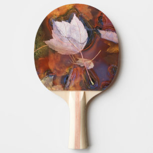 USA, Nordosten, Herbstlaub in einer Pfütze mit Tischtennis Schläger