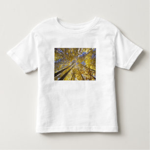 USA, Nordwestpazifik. Aspenbäume im Herbst Kleinkind T-shirt