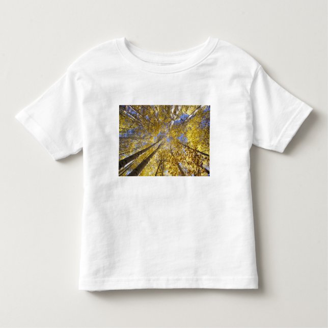 USA, Nordwestpazifik. Aspenbäume im Herbst Kleinkind T-shirt (Vorderseite)