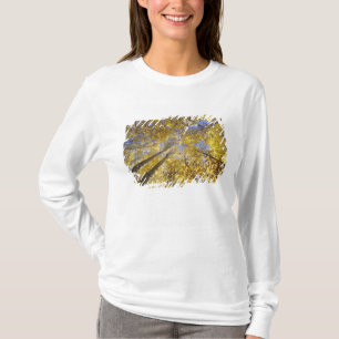 USA, Nordwestpazifik. Aspenbäume im Herbst T-Shirt