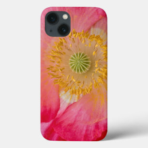 USA, North Carolina. Close-up of poppy interior Case-Mate iPhone Hülle