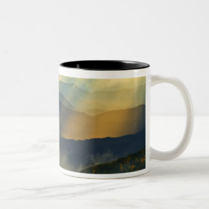 USA, North Carolina, Great Smoky Mountains. Zweifarbige Tasse