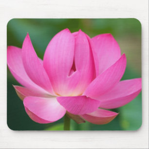 USA; North Carolina Lotusblüte Mousepad