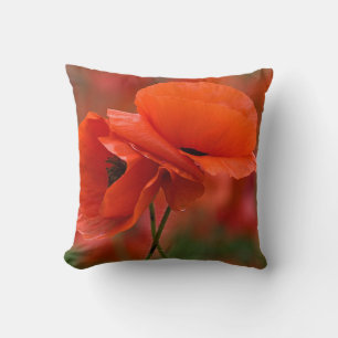 USA, North Carolina. Nahaufnahme von Mohn Kissen