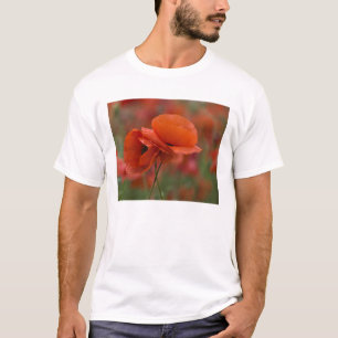 USA, North Carolina. Zwei rote Mohnblumen T-Shirt