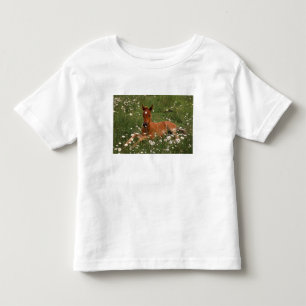 USA, Oregon, Arabisches Pony. Kleinkind T-shirt
