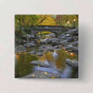 USA, Oregon, Ashland, Lithia Park. Herbst Button