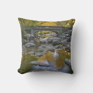 USA, Oregon, Ashland, Lithia Park. Herbst Kissen