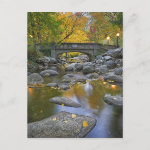 USA, Oregon, Ashland, Lithia Park. Herbst Postkarte