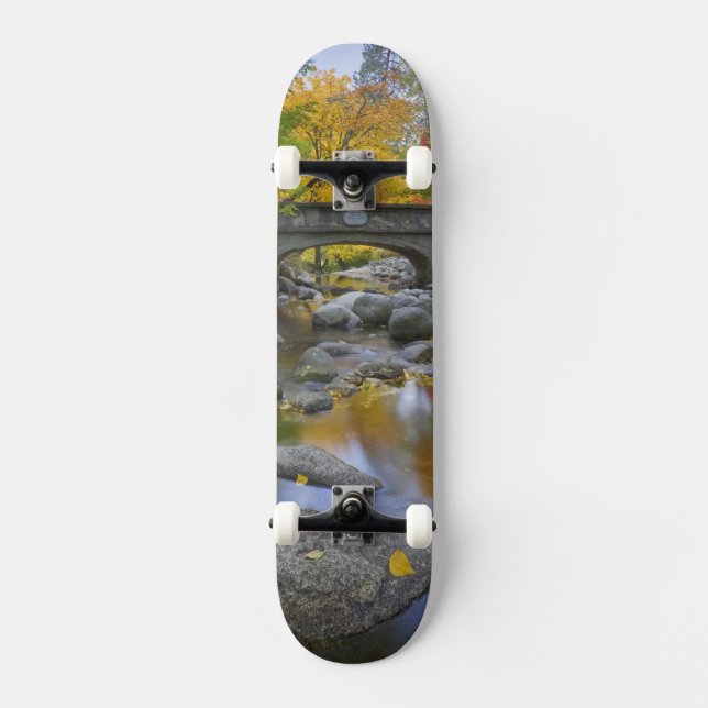 USA, Oregon, Ashland, Lithia Park.Herbst Skateboard (Vorderseite)