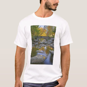 USA, Oregon, Ashland, Lithia Park. Herbst T-Shirt