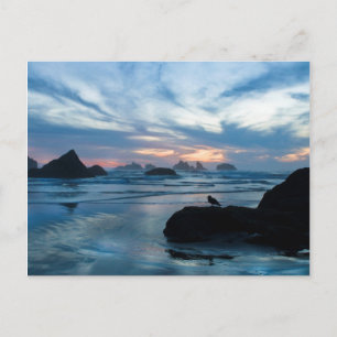 USA, Oregon, Bandon Beach. Möwe auf Felsen Postkarte