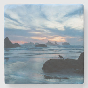 USA, Oregon, Bandon Beach. Möwe auf Felsen Steinuntersetzer