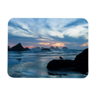 USA, Oregon, Bandon Beach. Seagull auf Felsen Magnet