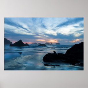 USA, Oregon, Bandon Beach. Seagull auf Felsen Poster