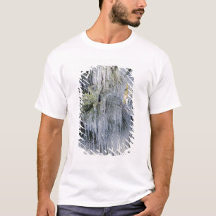 USA, Oregon, Bend. Das Eis auf Ponderosa-Kiefer T-Shirt