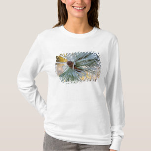 USA, Oregon, Bend. Ponderosa-Kiefernnadeln sind T-Shirt