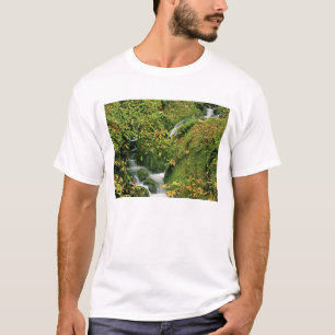 USA, Oregon, Brookings. Üppiger Bach entlang T-Shirt