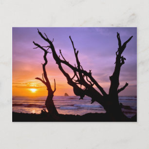 USA, Oregon, Cape Meares. Sonnenuntergang Postkarte