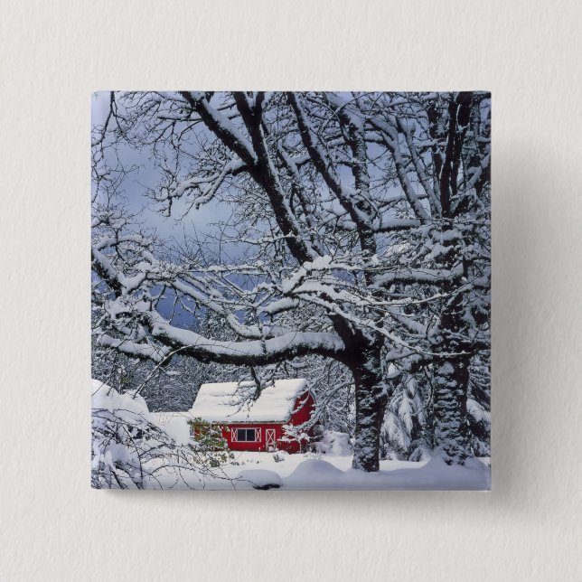 USA, Oregon, Clackamas County. Frischer Schnee bed Button (Vorderseite)