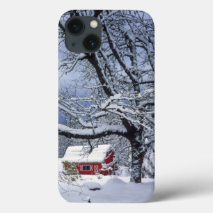 USA, Oregon, Clackamas County. Frischer Schnee bed iPhone 13 Hülle