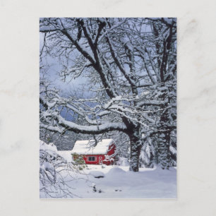 USA, Oregon, Clackamas County. Frischer Schnee bed Postkarte