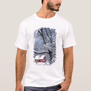 USA, Oregon, Clackamas County. Frischer Schnee bed T-Shirt
