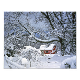 USA, Oregon, Clackamas County. Frischer Schnee Fotodruck