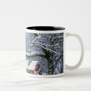 USA, Oregon, Clackamas County. Frischer Schnee Zweifarbige Tasse