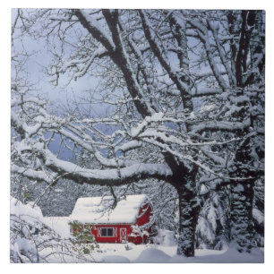 USA, Oregon, Clackamas Landkreis. Frischschneebede Fliese