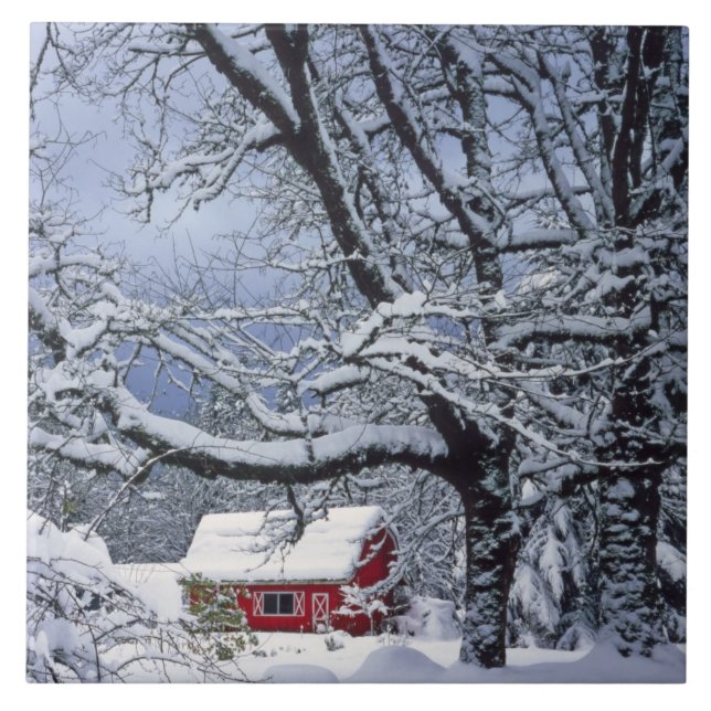 USA, Oregon, Clackamas Landkreis. Frischschneebede Fliese (Vorderseite)