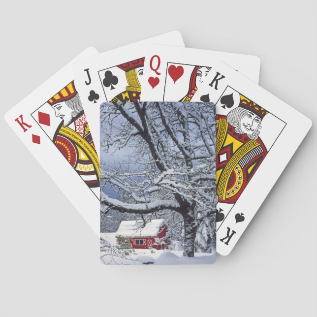 USA, Oregon, Clackamas Landkreis. Frischschneebede Spielkarten (Rückseite)