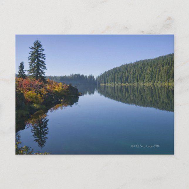USA, Oregon, Clear Lake Postkarte (Vorderseite)