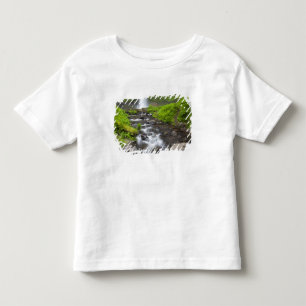 USA, Oregon, Columbia River Gorge, Latourell Kleinkind T-shirt
