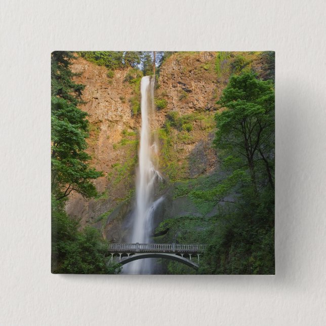 USA, Oregon, Columbia River Gorge, Multnomah Button (Vorderseite)