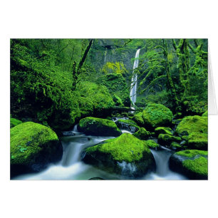USA, Oregon, Columbia River Gorge National 2