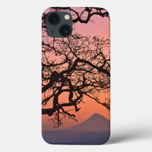 USA, Oregon, Columbia River Gorge National 2 Case-Mate iPhone Hülle