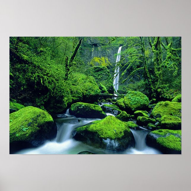 USA, Oregon, Columbia River Gorge National 2 Poster (Vorne)