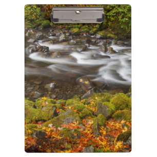 USA, Oregon, Columbia River Gorge, Tanner Creek 2 Klemmbrett