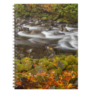 USA, Oregon, Columbia River Gorge, Tanner Creek 2 Notizblock