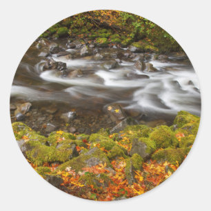 USA, Oregon, Columbia River Gorge, Tanner Creek 2 Runder Aufkleber