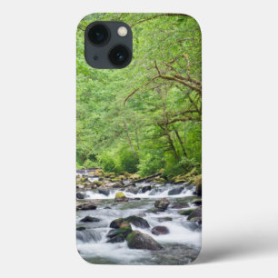 USA, Oregon, Columbia River Gorge, Tanner Creek 4 Case-Mate iPhone Hülle