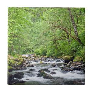 USA, Oregon, Columbia River Gorge, Tanner Creek 4 Fliese