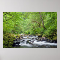 USA, Oregon, Columbia River Gorge, Tanner Creek 4